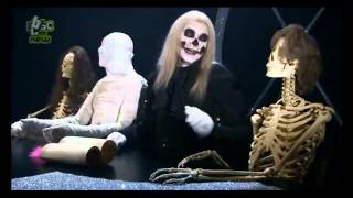 Horrible Histories  Stupid Deaths  Pythagoras [upl. by Hpseoj71]