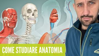 COME STUDIARE ANATOMIA 6 consigli [upl. by Namra817]