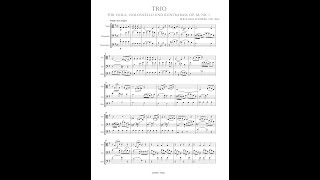 Bernhard Romberg – Trio Bratsche Violoncello amp Kontrabaß [upl. by Eniwtna]