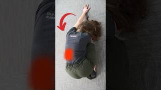 Quadratus Lumborum Relief in 60 Secs with A Side Bridge Exercise [upl. by Trembly522]