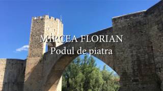 Mircea Florian  Podul de piatra versuri lyrics karaoke [upl. by Mickelson58]