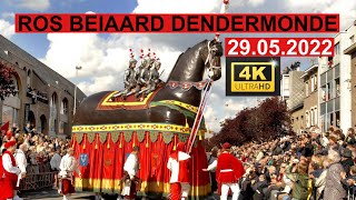 ROS BEIAARD DENDERMONDE 29052022 deel 3 [upl. by Kerwon]