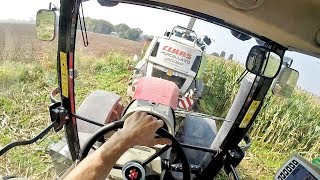 Cab View  Massey Ferguson 7624 Dyna VT  Claas Jaguar 960  Mais Silage [upl. by Goldsworthy826]