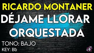 Ricardo Montaner  Déjame Llorar Orquestado  Karaoke Instrumental  Tono Bajo [upl. by Eelrac265]