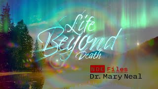 Life Beyond Death  NDE Files  Mary Neal [upl. by Sakram]