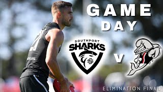 ELIMINATION FINAL vs Frankston Dolphins  Game Day Vlog [upl. by Assenej]