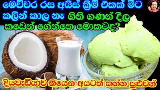 පොල්කිරි මේ තරම් රසයිද කඩේ අයිස්ක්‍රීම් මොකටද මෙහෙම සුපිරියට හදාගන්න Vegan Ice Cream Coconut milk [upl. by Errised]