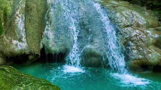 Relaxing birds amp water sounds nature river sounds for sleep meditation relaxation flowing water [upl. by Eiliah]