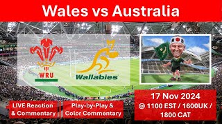 Wales vs Australia  Autumn Rugby Internationals  17 Nov 2024 [upl. by Lledualc]