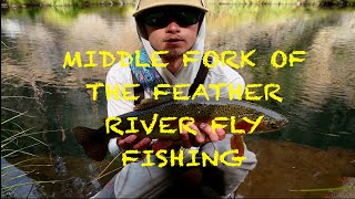 Fly Fishing the Middle Fork of the Feather River [upl. by Sefton709]