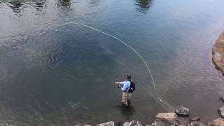 Spey Casting Skagit lines Basic and Advanced Skagit Casting Techniques [upl. by Yrocej854]