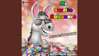 Mi Burrito Sabanero Reggeton Mix [upl. by Ellehsor798]