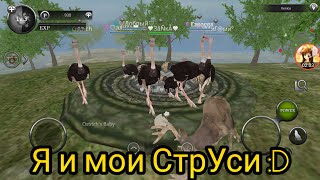 Wild Animals Online GamePlay💞СтрУси💞 [upl. by Quillan912]