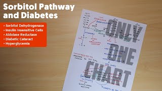 Sorbitol Pathway and Diabetic Cataract  2  Biochemistry [upl. by Freudberg]