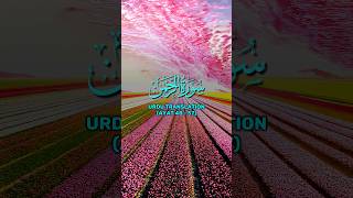 Surah AR RAHMAN Urdu Translation  Ayat 4857  Hindi Tarjuma surahrahman shorts viral [upl. by Namyw]