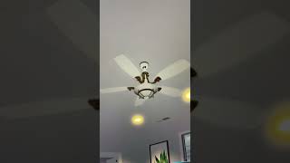 sixs fan co lenexa ceiling fan [upl. by Wallie]