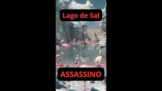 Lago de Sal Assassino shorts [upl. by Eelyrehc]