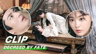 Clip Ting Xiao Protects Rong Er From Being Found  Decreed by Fate EP04  千金难逃  iQiyi [upl. by Garfield]