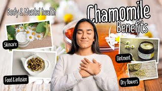 Chamomiles Surprising Health Benefits Explored [upl. by Dunton792]