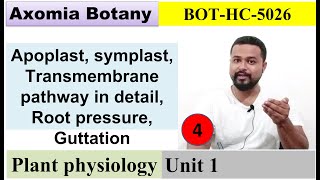 L4 Pathway Root pressure Guttation  Plant Physiology Dr Rajib BorahBsc Botany Axomia Botany [upl. by Shepley]