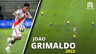 Joao Grimaldo vs Brasil ► DEBUT ● Selección Peruana 2023ᴴᴰ✔ [upl. by Isia]