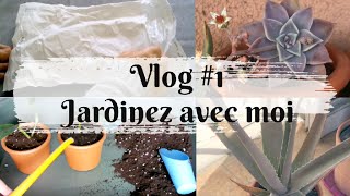 VLOG1👩🏻‍🌾 Jardinez avec moi  Rempotage de boutures Arrosage de succulentes en hiver Alocasia [upl. by Kcirrez]