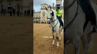 Heartwarming Moment Officer and Her Steed 🐴 london travel royalguard 🇬🇧 [upl. by Welles]