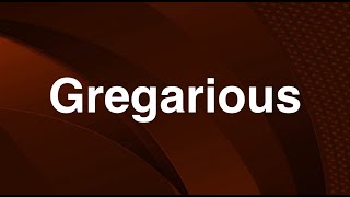 Gregarious  English Word  Meaning  Examples [upl. by Jovia551]