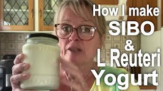 How I Make SIBO Yogurt amp L Reuteri Yogurt  Hints amp Tips to Help You Master It [upl. by Aitra]