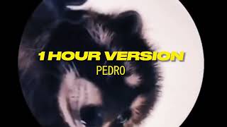 PEDRO  Raffaella Carrà Remix  1 HOUR VERSION TikTok Trends 2024 [upl. by Nnylrac]