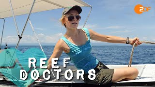 Gegengift  Reef Docs  Die Inselklinik Folge 1 [upl. by Hamel]