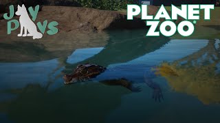 Caiman Conundrum  Planet Zoo [upl. by Naryk639]