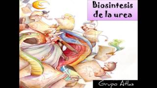 BIOQUIMICA DE PROTEINAS CLASE 3 PARTE I BIOSINTESIS DE LA UREA [upl. by Chinua]