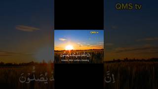 tilawat quran pak  best voice  QiratQuran  sweet voice of quran recitationshorts [upl. by Atteuqehs348]