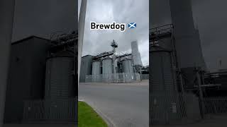 Finally made it to Brewdog 🏴󠁧󠁢󠁳󠁣󠁴󠁿 brewdog scotland [upl. by Britte]