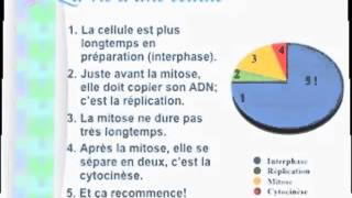 BIOLOGIE 9  UNITÉ 2  La mitose [upl. by Rimahs193]