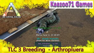 Arthropluera Breeding TLC 3  Ark Survival Evolved [upl. by Yerfdog981]