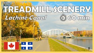 4k Treadmill Scenery  Lachine Canal Montreal Canada  1 hour Virtual Run [upl. by Ajam]