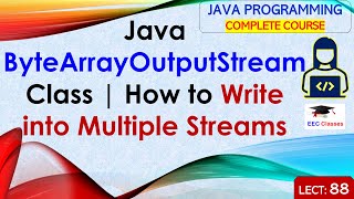 L88 Java ByteArrayOutputStream Class  How to Write into Multiple Streams  Java Lectures in Hindi [upl. by Oterol]