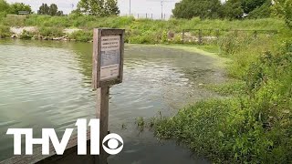 Researchers monitor harmful algal blooms in Lake Fayetteville [upl. by Moria]