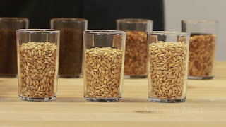 How to Formulate Beer Recipes for AllGrain Homebrewing [upl. by Eilyk851]