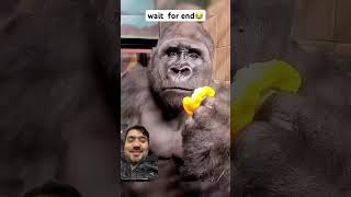 explore shorts man wis wild gorillaman transgender into short shortsfeed fun [upl. by Jaye962]