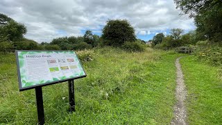 A Visit to Hetton Bogs July 2023 [upl. by Jennilee876]