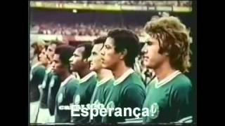 Palmeiras Vidasonhos e esperança [upl. by Arted809]