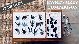 RELAXING BOTANICAL SWATCHING 🌿 Comparing 13 brands of Paynes Grey Watercolour [upl. by Akcirderf]