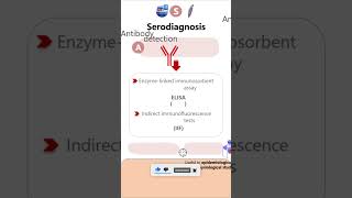 SerodiagnosisGiardia lamblia parasitology microbiology pathology diagnosis neetpg neet [upl. by Korie]