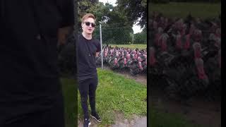 Guy Makes Gobbling Sound at Group of Turkeys Who Respond Together  1067747 [upl. by Anivram]