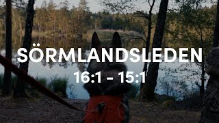 Summer hike with Tamaskan dog on Sörmlandsleden  Swedish summer has arrived [upl. by Awe434]