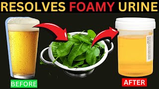 This Treatment Of Proteinuria Resolves Foamy Urine In NO TIME [upl. by Hubsher]