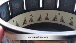 Zoetrope Animation Toy of Seals  Zoetrope [upl. by Lesak444]